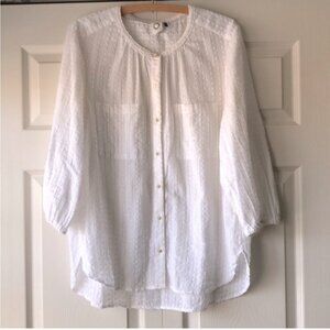 Akemi & Kim Anthropologie Swiss dot button down blouse size large